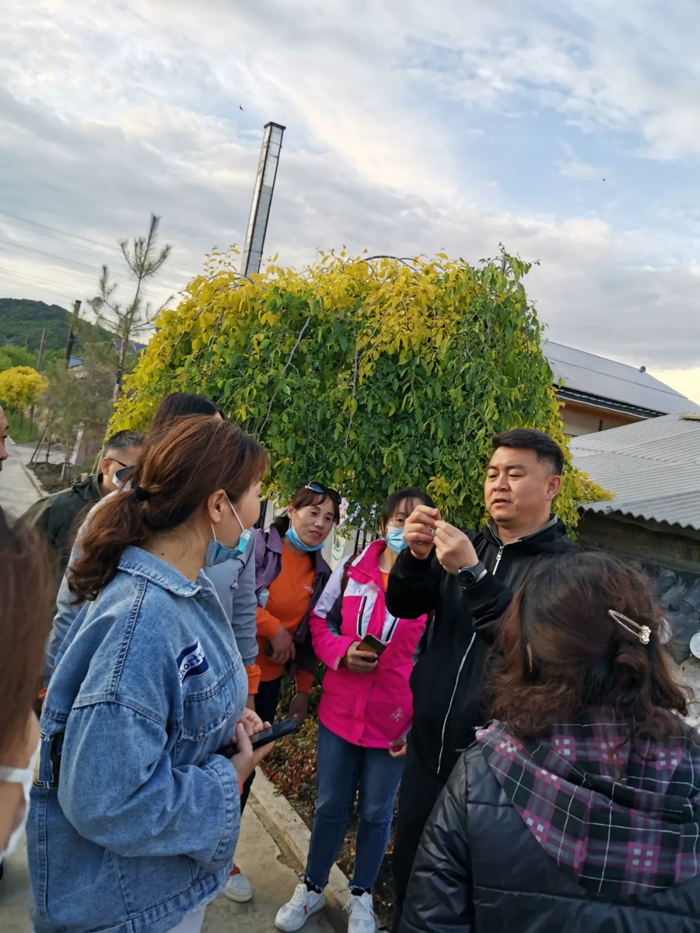 【夢想聚團隊 團隊創輝煌】西微雅團建活動——長白山之旅(圖17)
